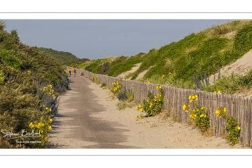 La Baigneuse Maison Avec Jardinet Et Parking Prive, A 200 M Plage Cayeux-sur-Mer Extérieur photo