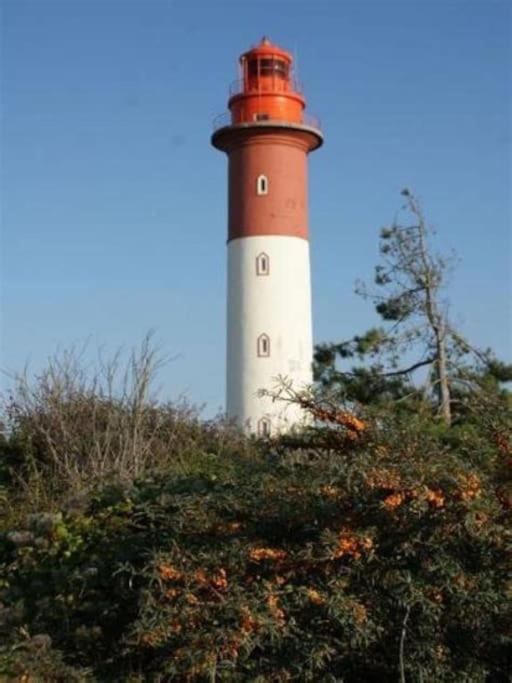 La Baigneuse Maison Avec Jardinet Et Parking Prive, A 200 M Plage Cayeux-sur-Mer Extérieur photo